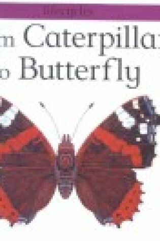 Cover of From Caterpillar to Butterfly