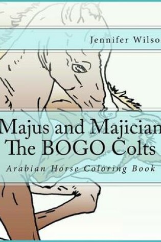 Cover of Majus and Majician Twin Colts Coloring Book