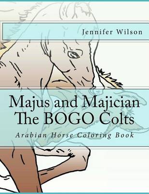 Book cover for Majus and Majician Twin Colts Coloring Book