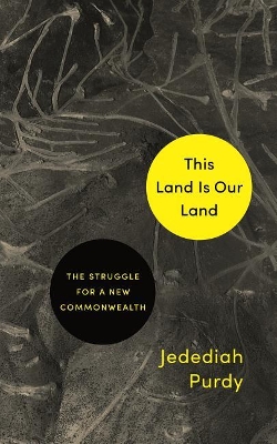 Book cover for This Land Is Our Land