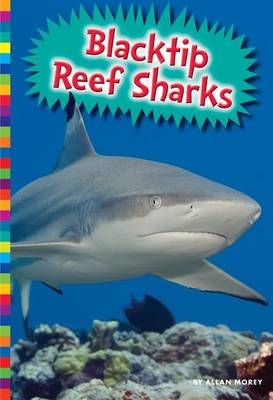 Book cover for Blacktip Reef Sharks