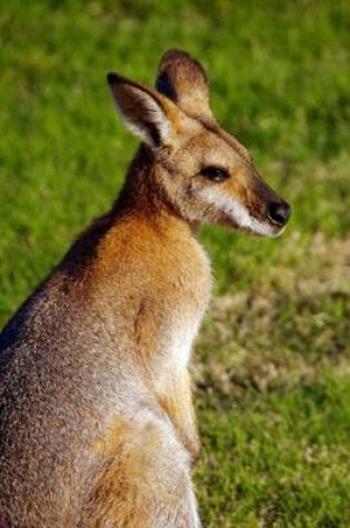 Cover of Rednecked Wallaby Animal Journal