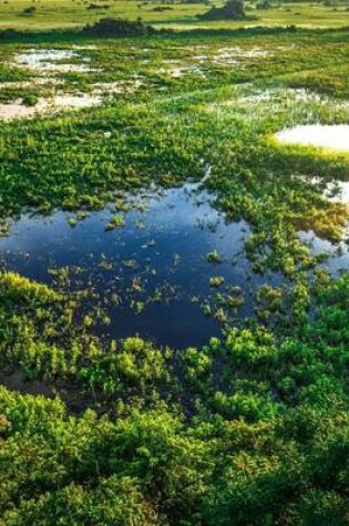 Cover of Stunning Wetland Landscape in Pantanal Brazil