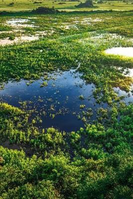 Book cover for Stunning Wetland Landscape in Pantanal Brazil