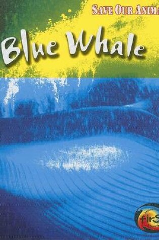 Cover of Blue Whale