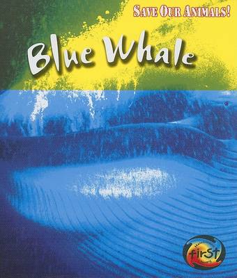 Book cover for Blue Whale