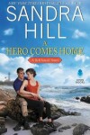 Book cover for A Hero Comes Home