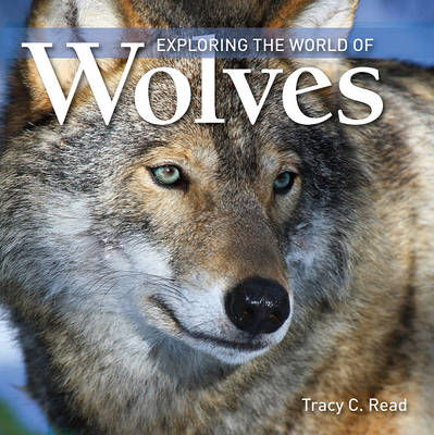 Cover of Exploring the World of Wolves