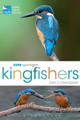 Cover of RSPB Spotlight Kingfishers