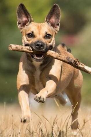 Cover of Be As Happy As A Dog with a Stick Journal