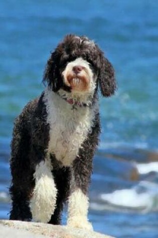 Cover of Portuguese Water Dog