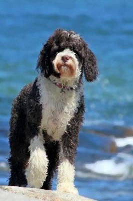 Book cover for Portuguese Water Dog