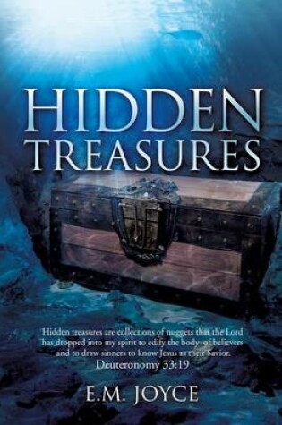 Cover of Hidden Treasures