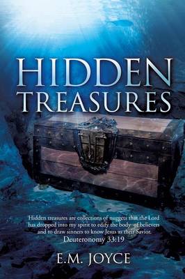 Book cover for Hidden Treasures