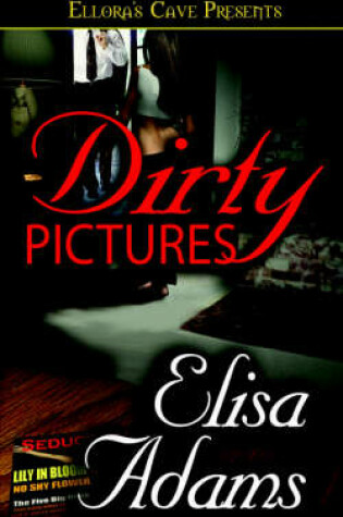 Cover of Dirty Pictures