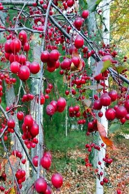 Cover of 2019 Weekly Planner Fall Tree Red Berries 134 Pages