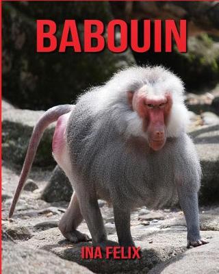 Book cover for Babouin
