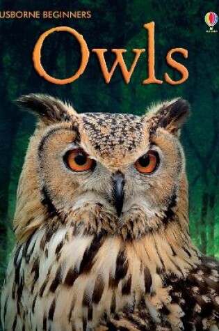 Cover of Owls