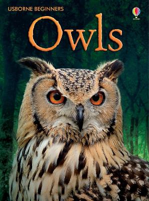 Book cover for Owls