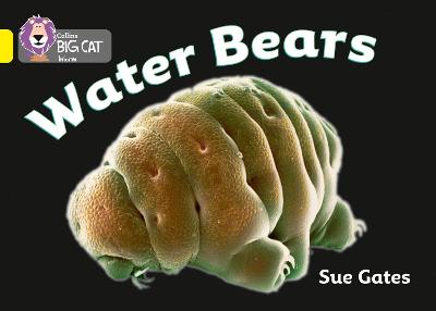 Cover of Water Bears
