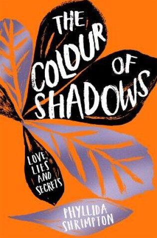 Cover of The Colour of Shadows
