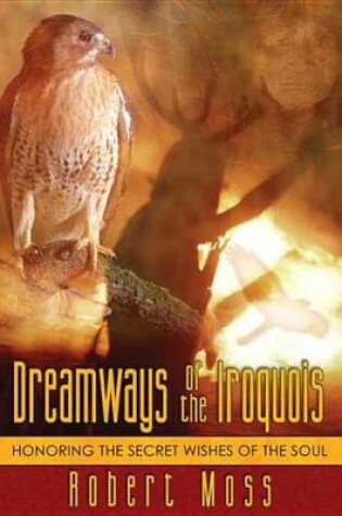 Cover of Dreamways of the Iroquois