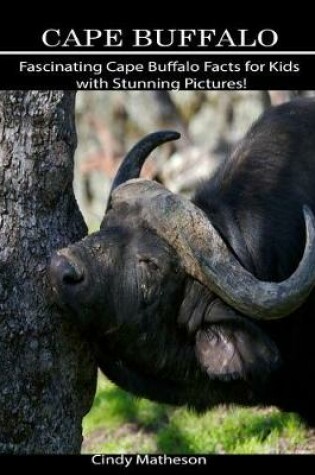 Cover of Cape Buffalo