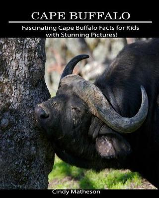 Book cover for Cape Buffalo