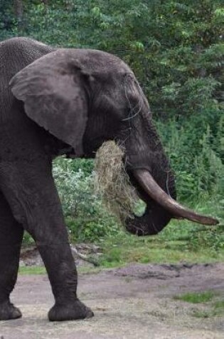 Cover of Notebook African Elephant Eating Breakfast