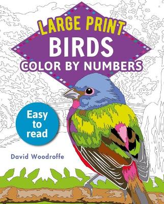 Book cover for Large Print Color by Numbers Birds