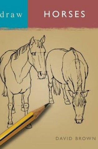 Cover of Draw Horses