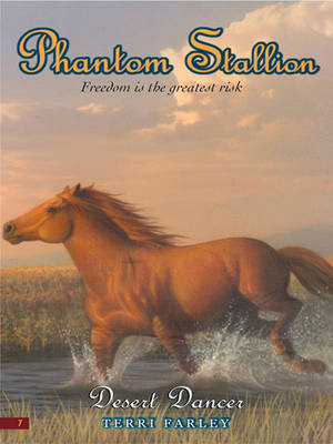 Book cover for Phantom Stallion #7: Desert Dancer