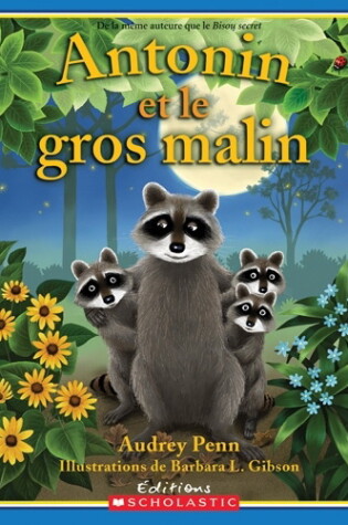 Cover of Antonin Et Le Gros Malin