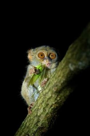 Cover of Spectral Tarsier with a Green Grasshopper Journal