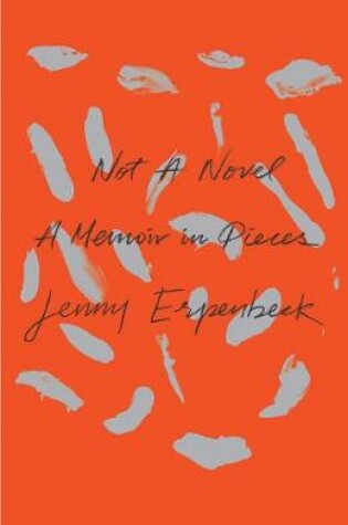 Cover of Not a Novel
