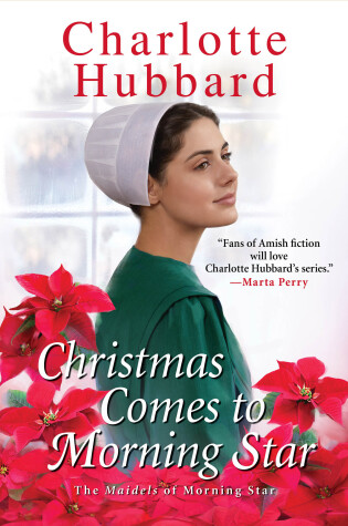 Cover of Christmas Comes to Morning Star