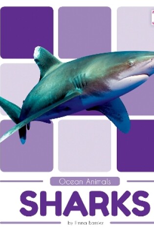 Cover of Ocean Animals: Sharks