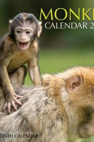 Cover of Monkey Calendar 2016