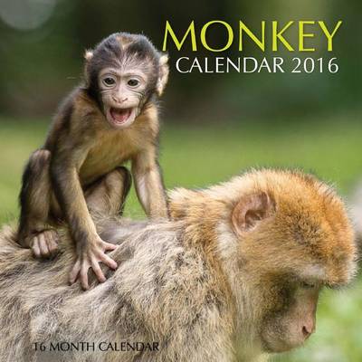 Book cover for Monkey Calendar 2016