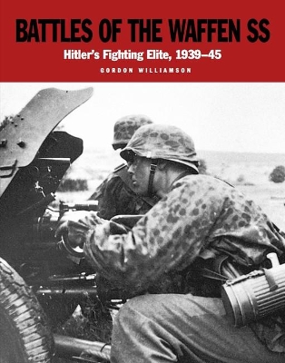 Book cover for Battles of the Waffen SS
