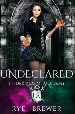 Cover of Undeclared