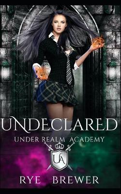 Book cover for Undeclared