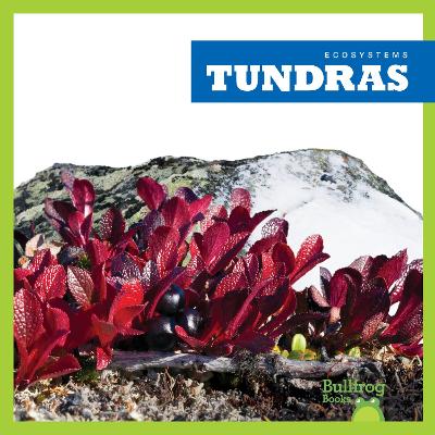 Cover of Tundras