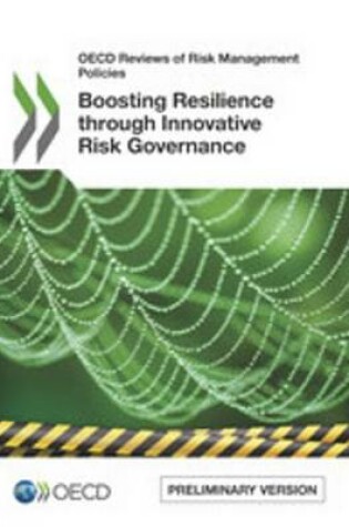 Cover of Boosting Resilience Through Innovative Risk Governance