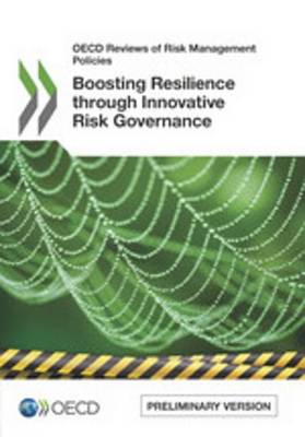 Book cover for Boosting Resilience Through Innovative Risk Governance