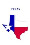 Book cover for Texas