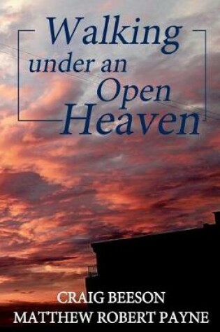 Cover of Walking Under an Open Heaven