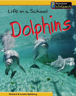 Cover of Animal Groups: Life in a School of Dolphins