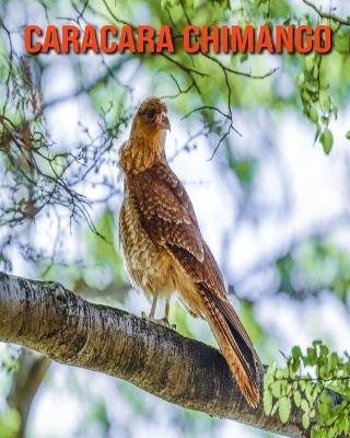 Book cover for Caracara Chimango