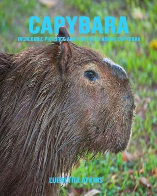 Book cover for Capybara